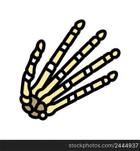 hand bone color icon vector. hand bone sign. isolated symbol illustration. hand bone color icon vector illustration