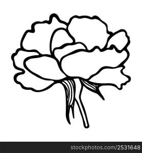 Hand drawing roses. Doodle rose silhouette. Simple hand drawing of a flower. Black outline. Vector illustration.