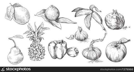 Hand drawing set of fruits, vegetables. Vector sketch illustration in black color isolated on white background. Design home decoration. Vintage icons set. Stock illustration for art and design.
