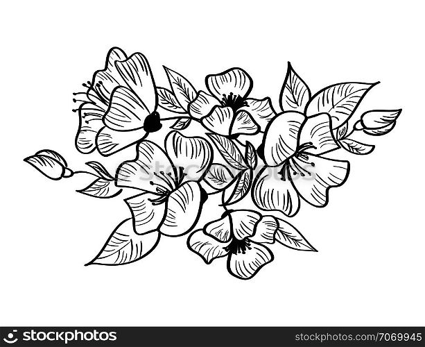 Hand drawing vector and sketch Rosa canina flower. Black and white with line art illustration isolated.. Hand drawing vector and sketch Rosa canina flower. Black and white with line art illustration isolated