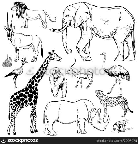 Hand drawn african animals and birds on white background. Vector sketch illustration.