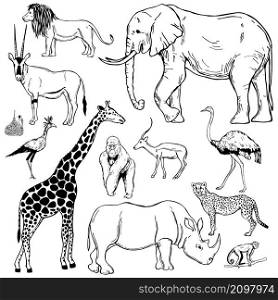 Hand drawn african animals and birds on white background. Vector sketch illustration.