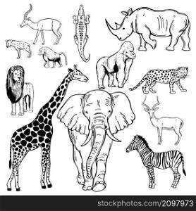 Hand drawn african animals on white background. Vector sketch illustration.