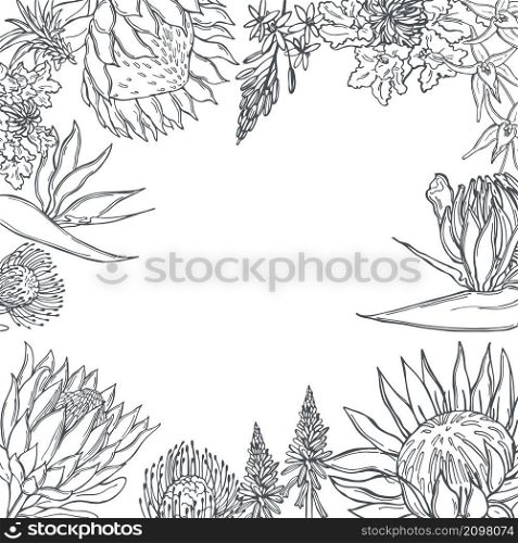 Hand drawn African flowers. Vector background. Sketch illustration.. Vector background with African flowers