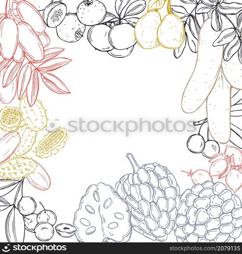 Hand drawn African fruits. Vector background. Sketch illustration.