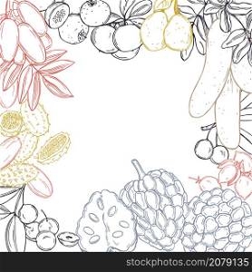 Hand drawn African fruits. Vector background. Sketch illustration.