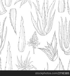 Hand drawn aloe vera plant. Vector seamless pattern