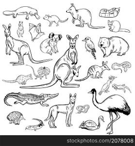 Hand drawn animals and birds of Australia. Vector sketch illustration.. Animals and birds of Australia.