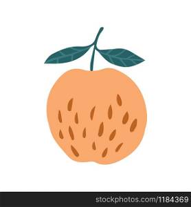 Hand drawn apple isolated on white background. Doodle fresh organic summer fruit. Simple cute cartoon design. Vector illustration.. Hand drawn apple isolated on white background. Doodle fresh organic summer fruit.