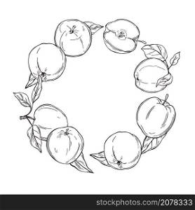 Hand drawn apples. A circle of fruits on white background. Vector sketch illustration.. Apples on white background. Vector illustration.