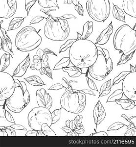 Hand drawn apples. Fruits on white background. Vector seamless pattern.