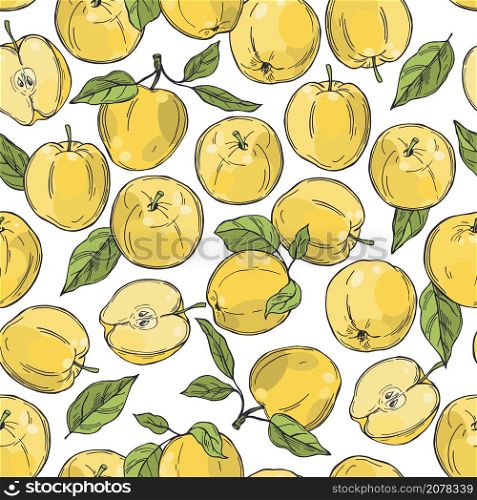 Hand drawn apples. Fruits on white background. Vector seamless pattern. . Vector pattern with apples.