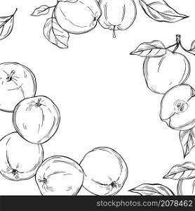 Hand drawn apples. Fruits. Vector background.. Apples on white background.