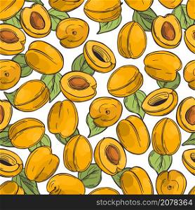 Hand drawn apricots on white background.Vector seamless pattern.. Apricots. Vector pattern.
