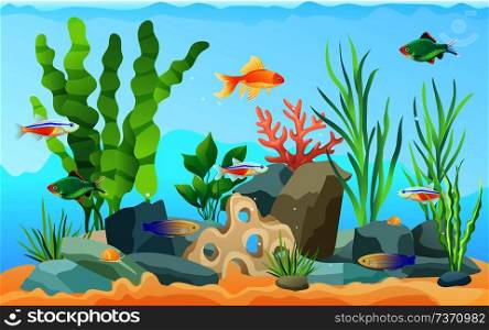Hand drawn aquarium with fish and seaweed. Goldfish and neon tetra, green tiger barb and blue striped tamiran wrasse swimming among underwater plants. Hand drawn aquarium with fish and seaweed icons