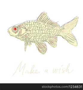 Hand drawn artistic illustration of a common goldfish with a wish, doodle isolated on white