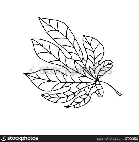 Hand drawn autumn chestnut leaf in doodle style. Leaf icon on white background. Vector illustration of chestnut for clothes, bed linen, postcards, icon, sticker for textile design.. Hand drawn autumn chestnut leaf in doodle style. Leaf icon on white background. Vector illustration of chestnut for clothes, bed linen, postcards, icon, sticker for textile design