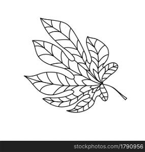 Hand drawn autumn chestnut leaf in doodle style. Leaf icon on white background. Vector illustration of chestnut for clothes, bed linen, postcards, icon, sticker for textile design.. Hand drawn autumn chestnut leaf in doodle style. Leaf icon on white background. Vector illustration of chestnut for clothes, bed linen, postcards, icon, sticker for textile design
