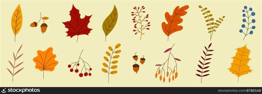 Hand drawn autumn collection with seasonal plants and leaves. Set of hand drawn plants, leaves, flowers. Colorful of natural elements for seasonal backgrounds. Vector illustration