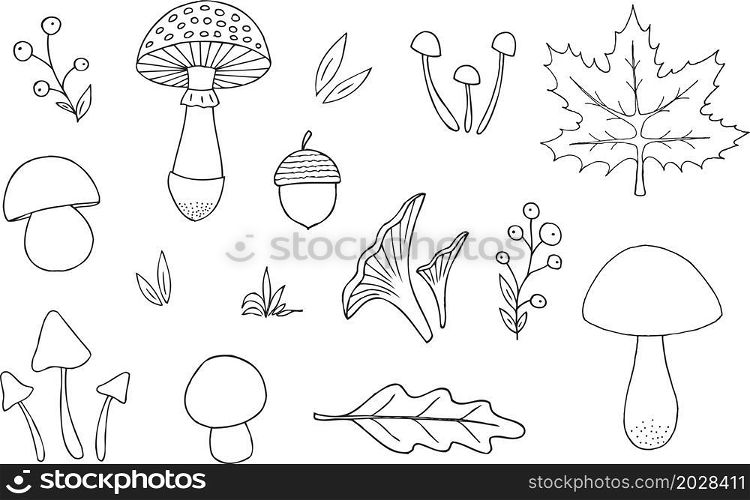 Hand drawn autumn elements collection. Mushrooms, berries and leaves. Vector illustration.