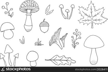 Hand drawn autumn elements collection. Mushrooms, berries and leaves. Vector illustration.