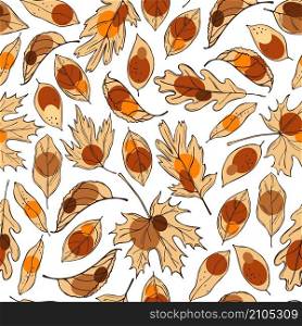 Hand drawn autumn leaves. Vector seamless pattern.. Vector background with autumn leaves .
