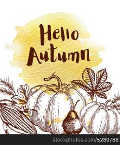 Hand drawn autumn vintage background with leaves, corn and pumpkins