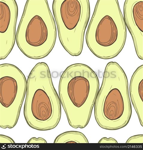 Hand drawn avocado in cut on white background. Vector seamless pattern.. Hand drawn fruits. Vector pattern.