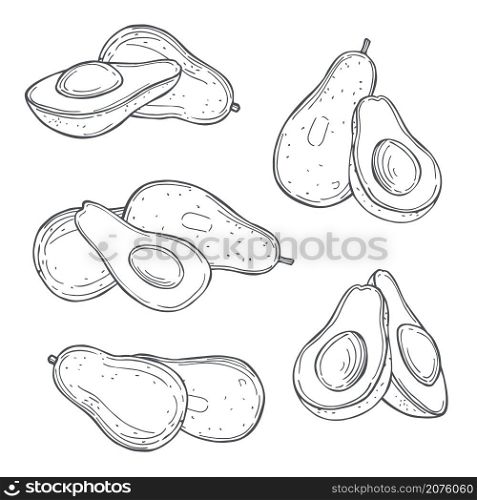 Hand drawn avocado on white background. Vector sketch illustration.. Tropical fruits. Vector illustration