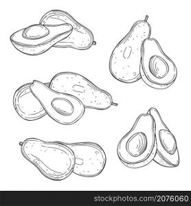 Hand drawn avocado on white background. Vector sketch illustration.. Tropical fruits. Vector illustration