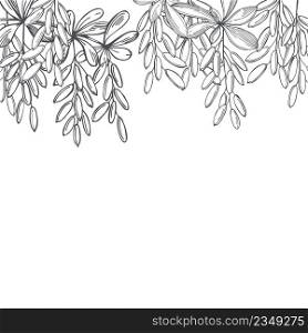 Hand-drawn barberry berries set. Vector background. Sketch illustration.. Barberry berries set. Vector background.