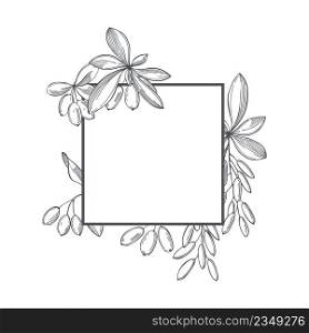 Hand-drawn barberry berries set. Vector frame. Sketch illustration.. Barberry berries set. Vector frame.