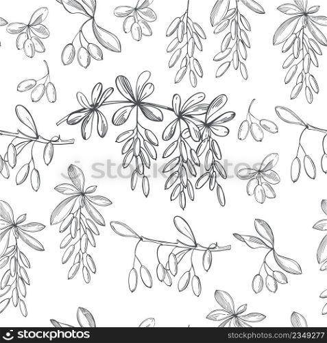 Hand-drawn barberry berries set. Vector seamless pattern. Barberry berries set. Vector pattern