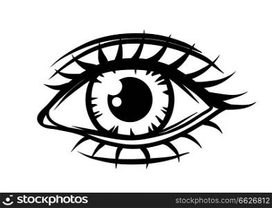Hand-drawn beautiful female eye. All seeing eye symbol.. Hand-drawn beautiful female eye.