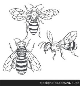 Hand drawn bees on white background.Vector sketch illustration.. Bees .Vector illustration.
