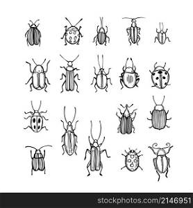 Hand drawn beetles on white background. Vector sketch illustration. Hand drawn beetles . Vector illustration
