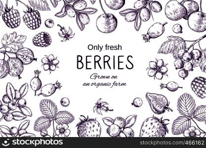 Hand drawn berries frame. Botanical sketch background, wild berry vintage drawing, cherry strawberry blackberry cranberry organic vector set. Hand drawn berries frame. Botanical sketch background, wild berry vintage drawing, cherry strawberry blackberry cranberry vector set