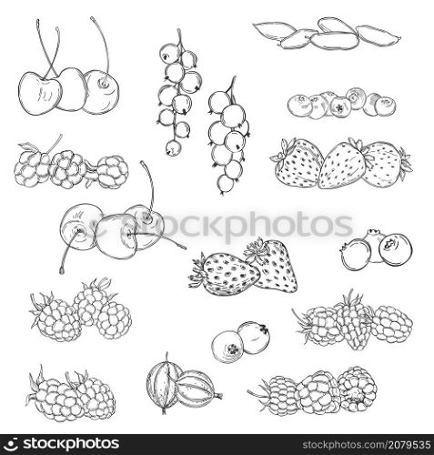 Hand drawn berries set. Currant, strawberry, blueberry, cloudberry, blackberries, cherries. Vector sketch illustration.