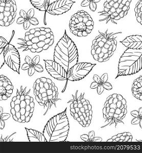 Hand drawn berry. Raspberry on white background. Vector seamless pattern