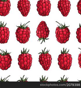 Hand drawn berry. Raspberry on white background. Vector seamless pattern. Hand drawn berry. Raspberry on white background. Vector seamless pattern