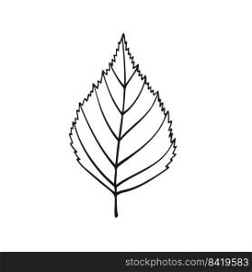 Hand drawn birch leaf outline. Line art style isolated on white background.