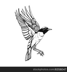 Hand drawn bird. Redstart. Outline drawing. Vector illustration. Black ...