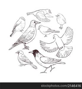 Hand drawn birds in a circle . Vector sketch illustration.. Hand drawn birds . Vector sketch illustration.