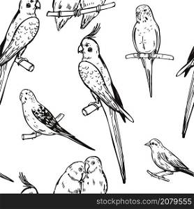 Hand drawn birds. Parrots and canaries. Vector seamless pattern.