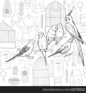 Hand drawn birds. Parrots and canaries. Vector sketch illustration.