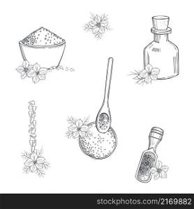Hand-drawn black cumin set. Flowers, oil and seeds. Vector sketch illustration . Black cumin set. Sketch illustration