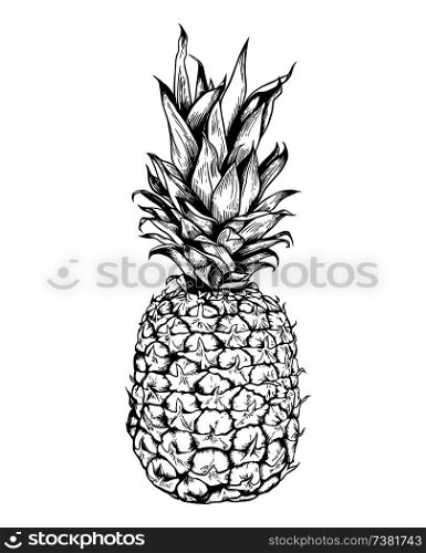 Hand drawn black vector pineapple on a white background.