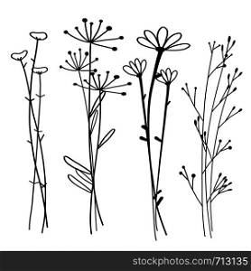 Hand drawn botanical set, Doodle floral element, Vector illustration.