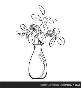 Hand drawn bouquet branches and leaves in vase. Meadow plant engraving sketch garden. Isolated black lines on white background. Vector illustration, greeting card, logo, branding design, poster, print