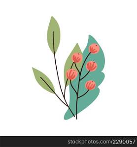 Hand drawn branch with leaves. Floral leaf element isolated. Print, poster design. Vector illustration. Hand drawn branch with leaves